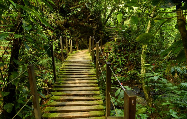 Ecoturismo