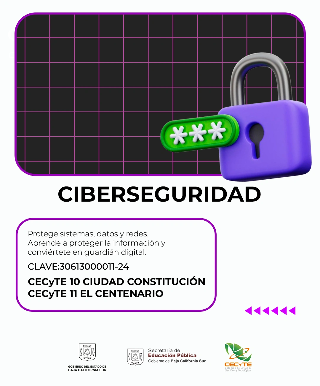 Ciberseguridad