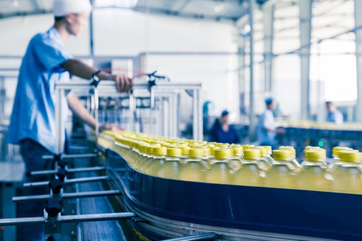 Procesamiento de Alimentos