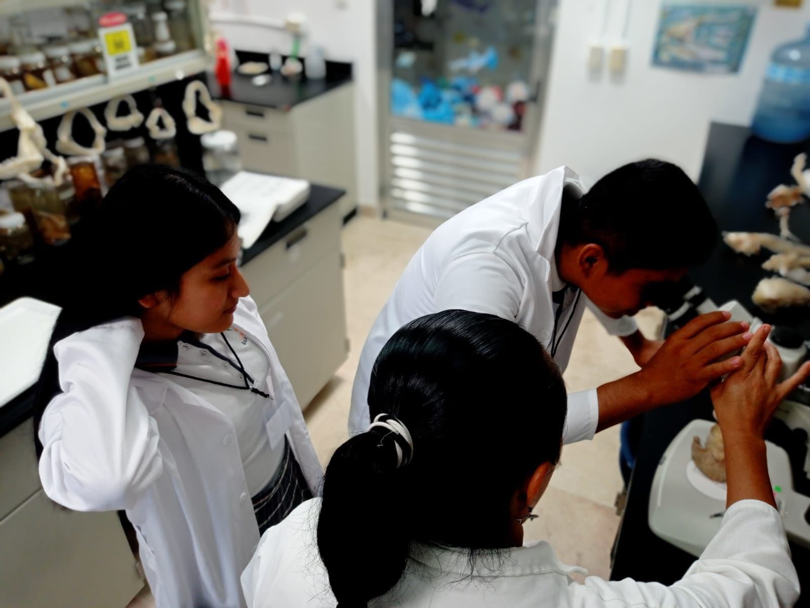 Estudiantes participando en Científicos por un Día - Imagen 6