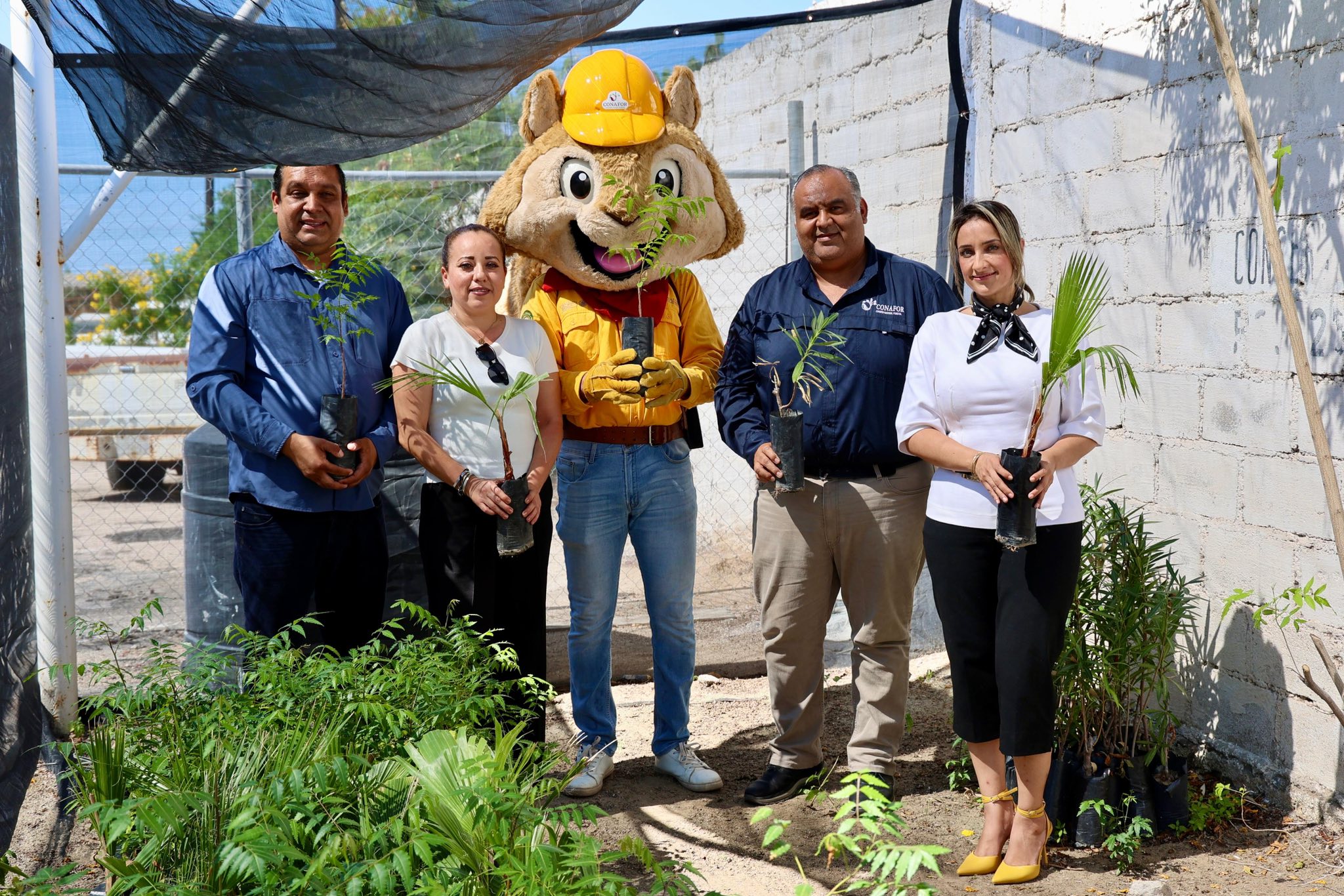 Entrega de árboles