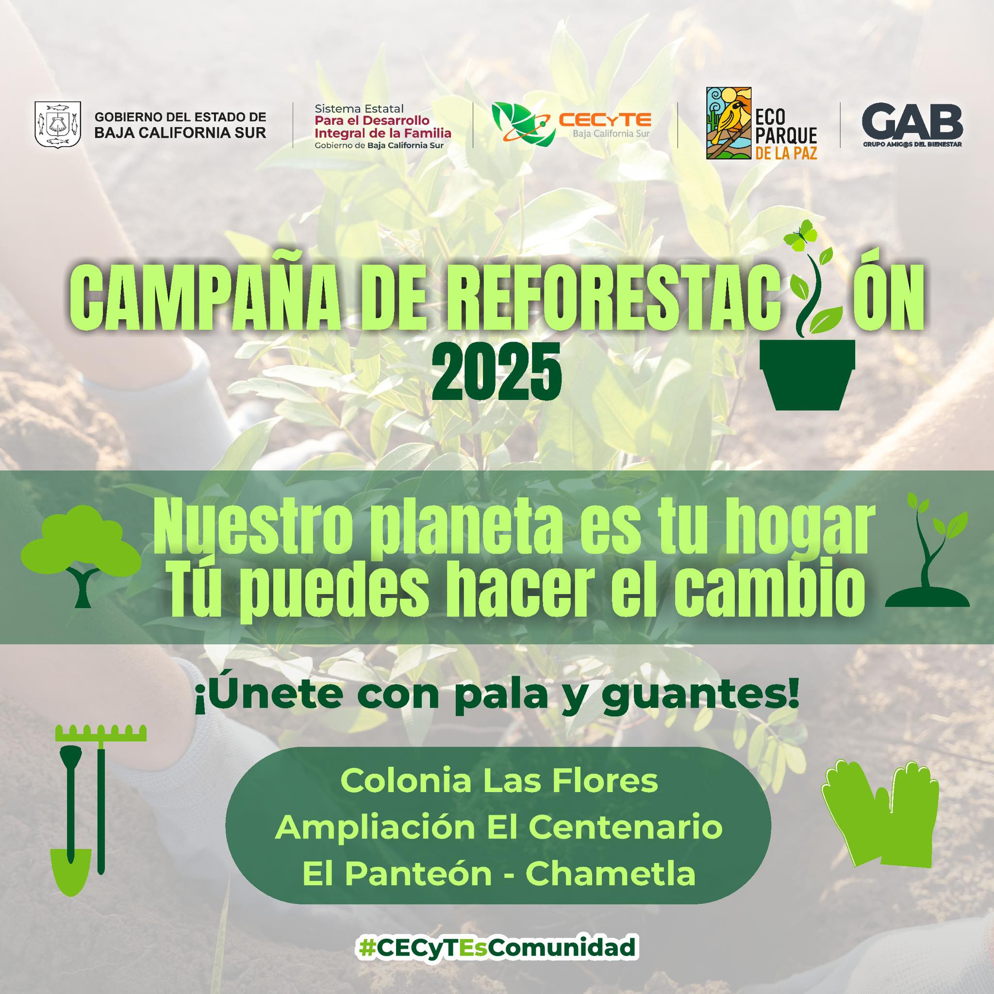 Campaña de Reforestación CECyTE BCS - Unidos por un CECyTE más verde