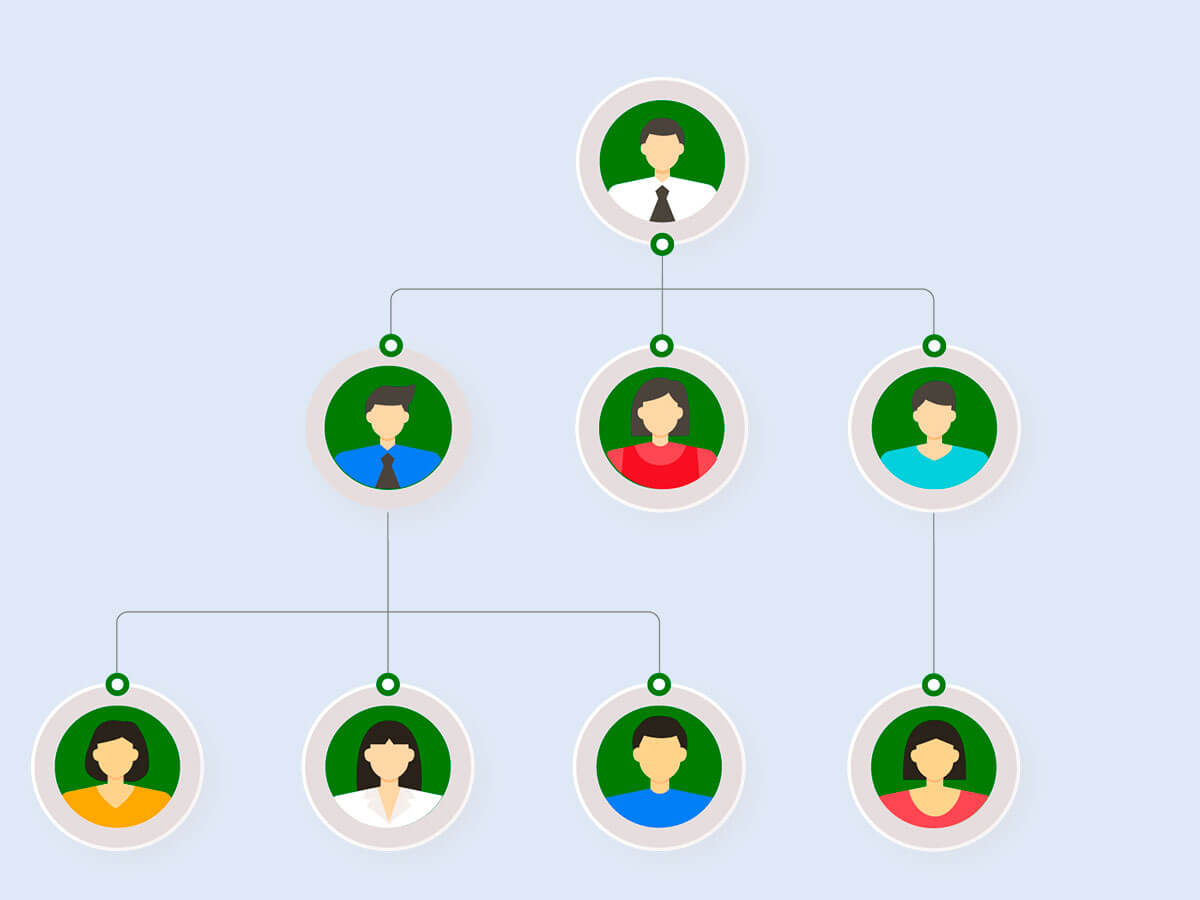 Estructura Orgánica